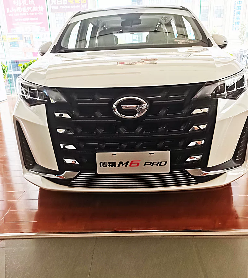 2021款广汽传祺gm6改装件M6PRO专用m6装饰中网外观前脸亮条配件 